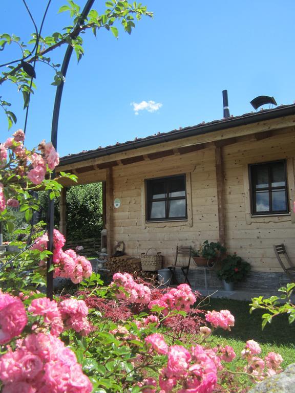 Ferienhaus Mandlhof Weer المظهر الخارجي الصورة